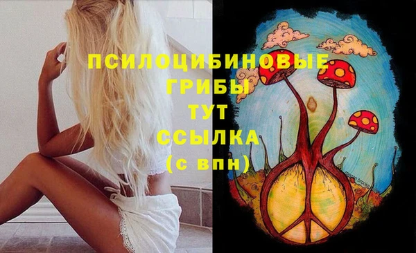 гидра Снежногорск