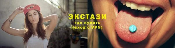 гидра Снежногорск