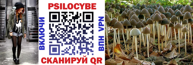 Псилоцибиновые грибы Cubensis купить наркоту Бабаево